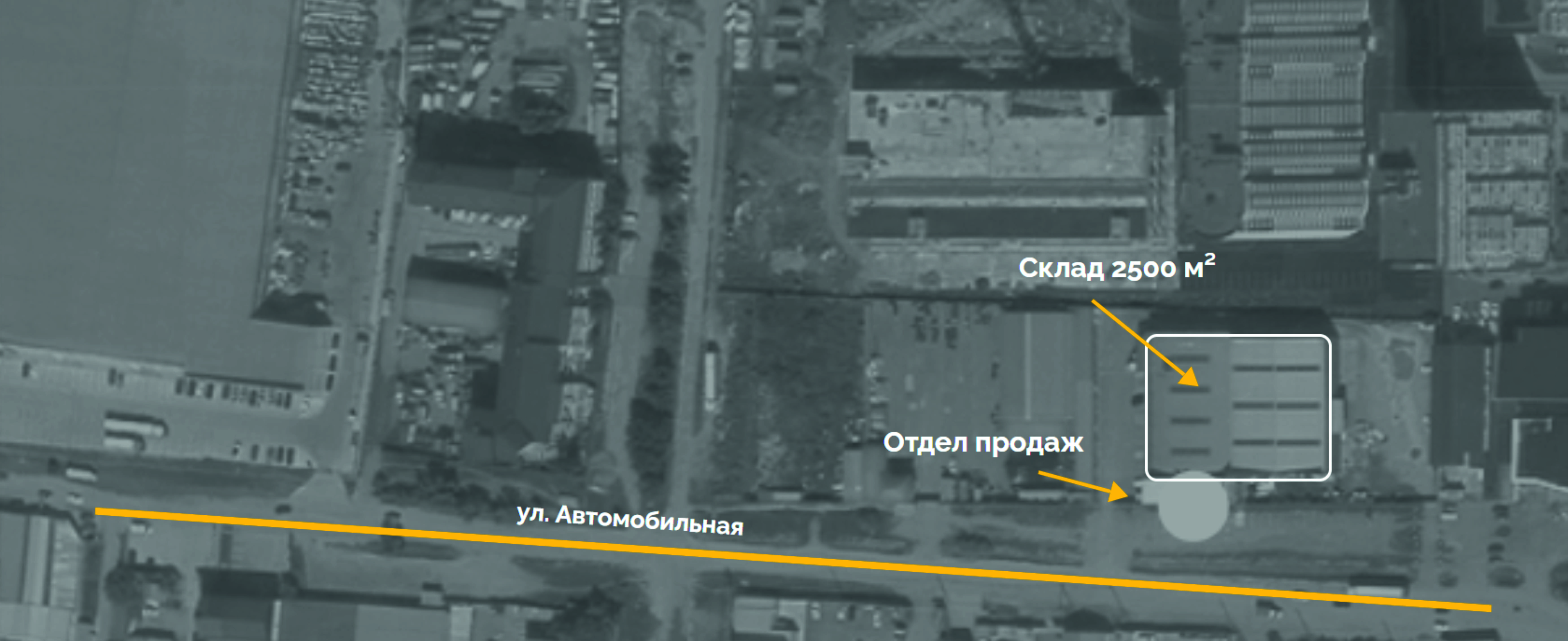 Портрет человека